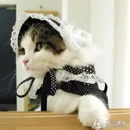  我可爱吧