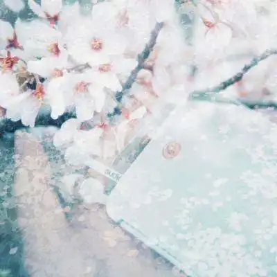  aoa网页版官方网站官方登录入口