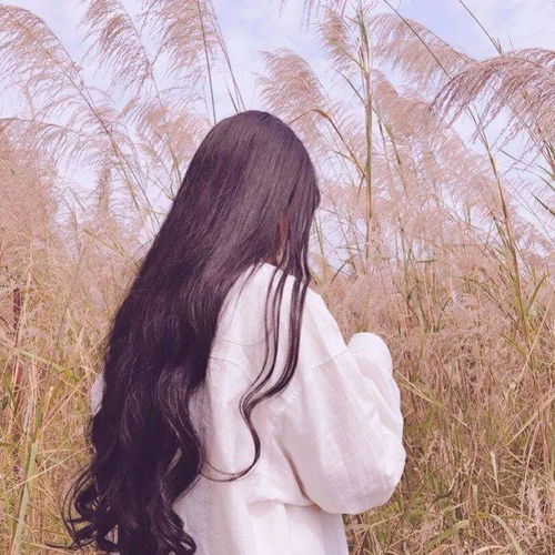  每日头像