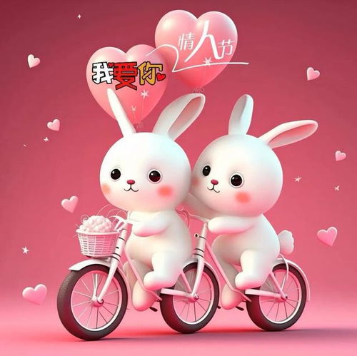  情人节情侣版小白兔
