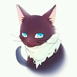  猫情侣头像,好不容易找到的