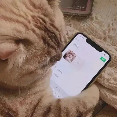  宝换个你喜欢的微信头像吧