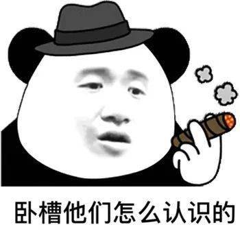  熊猫头表情包i我讨厌用情侣头像的人