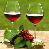  拿红酒杯的情侣头像微信头像图片大全