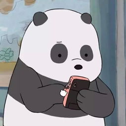  专升本是个什么东西