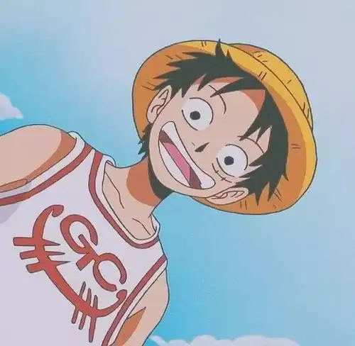  动漫头像遇见海贼王