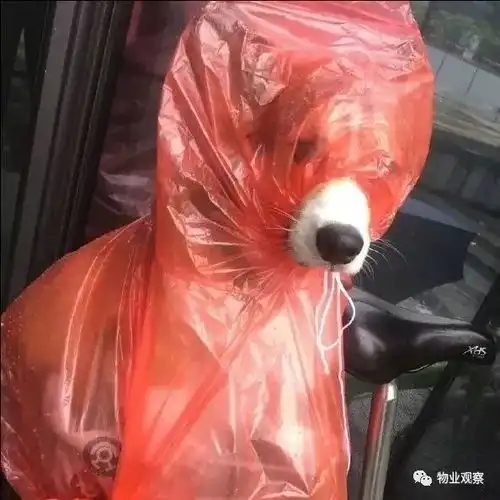  物业人开心日报周末乐翻天