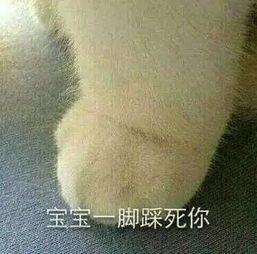  e句话看天下闺蜜群又开张了,大家看过来