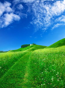  图片免费下载草地蓝天风景图片素材草地蓝天风景图片模板千图网