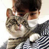  抱猫头像人性格分析微信头像图片大全