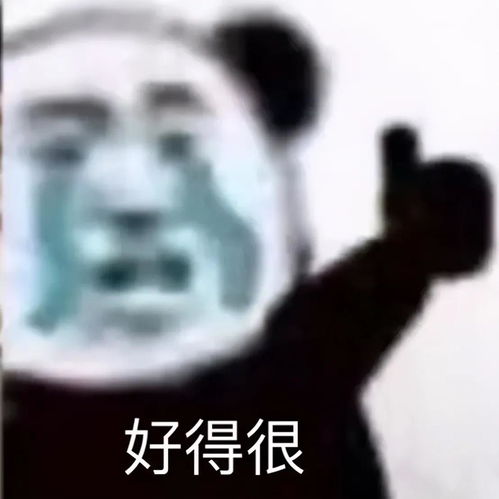  有哪些超级沙雕的文案