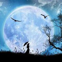  小星星瑞文头像高清微信头像图片大全