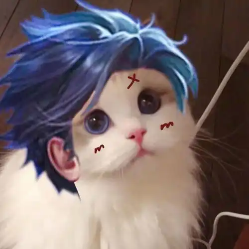 头像猫咪图片情侣头像王