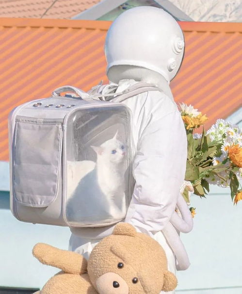  七言永远不要做别人生活中的插曲