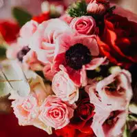 清新花束头像,浪漫的情人节花束图片 清新花束头像,浪漫的情人节花束图片