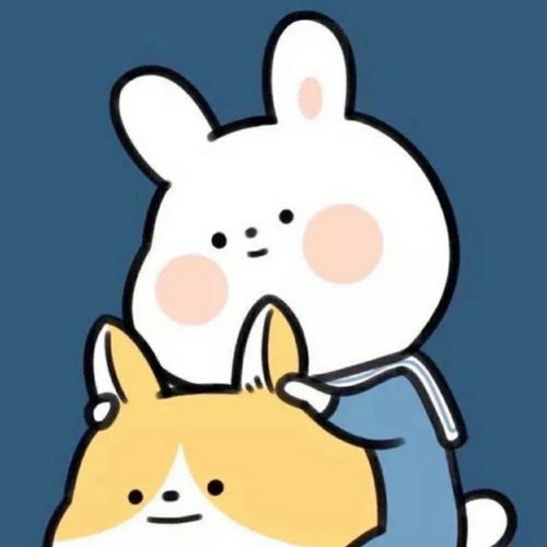  有谁知道这个兔子叫什么名字么
