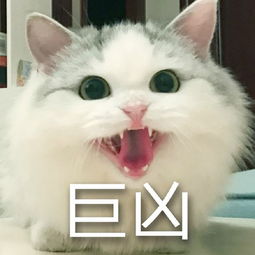  奶凶是什么意思奶凶奶凶的什么梗跟小奶狗什么关系