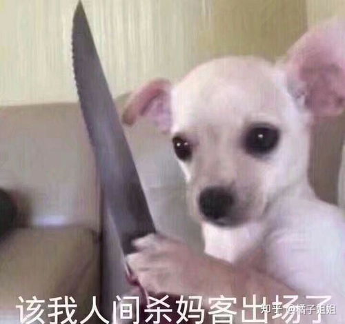 情侣头像女跟狗女生