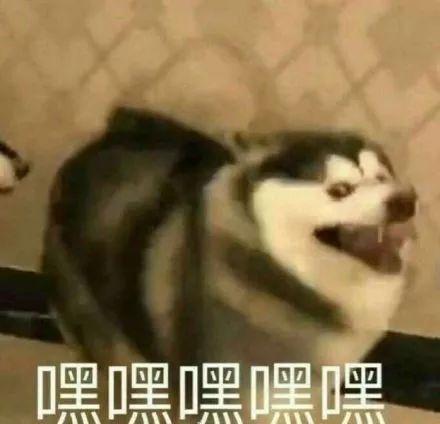 微信头像男表情图片沙雕