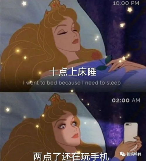  当代情侣的相处之道,哈哈哈满满的求生欲,学会了学会了