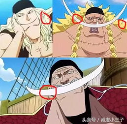  海贼王白胡子二世与白胡子关系已揭晓,白胡子年轻时候曾透露过