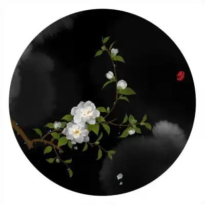  微信头像中年女适合中年妇女的微信头像