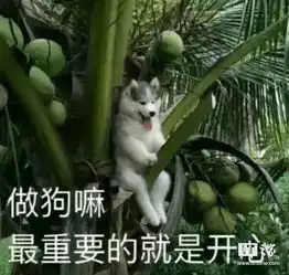 二奶机怎么选  二奶机怎么选