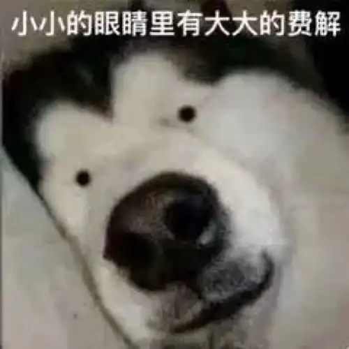  有哪些让人觉得脑袋不大灵光的表情包