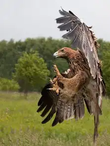  禽兽你的艳照太销魂了吧