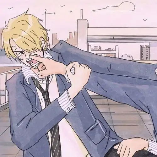  动漫头像海贼王索隆山治好基友头像,闭嘴,臭厨子