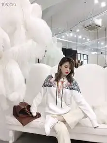  羽毛翅膀欧美情侣.秋款帽衫.高端复古烫印.全棉大毛圈.穿着宽松