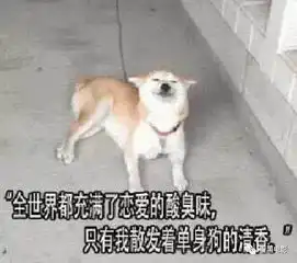  word天这么中二的片子看起来竟然让人停不下来