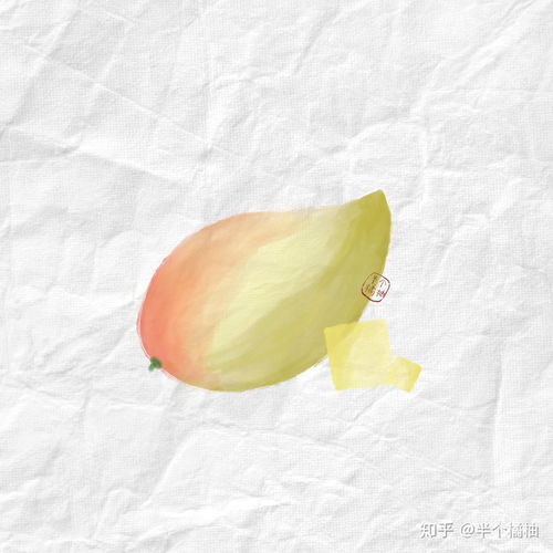  水果水彩画