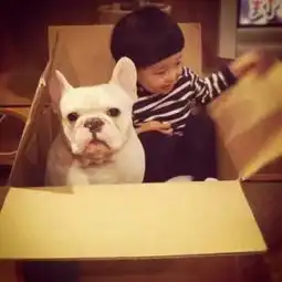 单身狗薯片情侣头像红遍