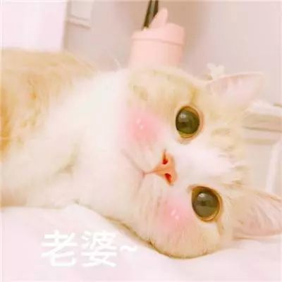  情侣头像,你什么时候放下