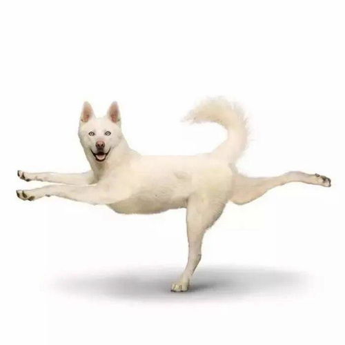  有哪些一看就很明显的情头吗
