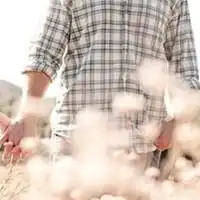 求,唯美意境情侣头像,要速度, 求,唯美意境情侣头像,要速度,