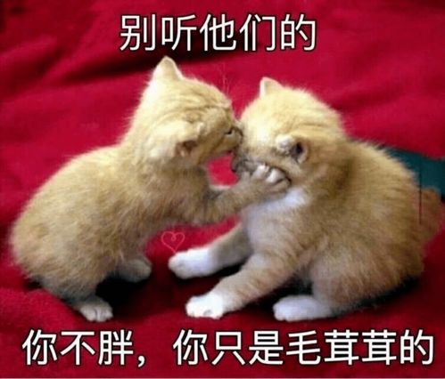  怎么每到冬季就发胖是不是天气冷了代谢变慢了