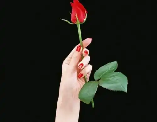  手在古代诗词里有哪些称呼