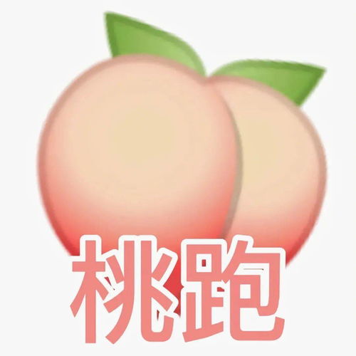  今日头像一定会有人坚定地选择你
