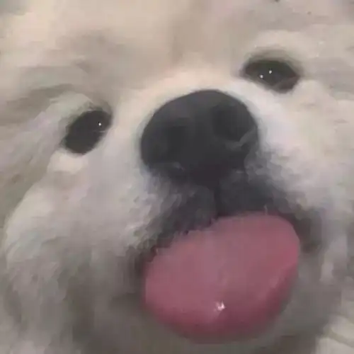  头像总有你喜欢