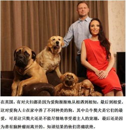  陪伴女子多年的狗狗去世女子比我丈夫还要重要
