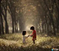  每周摄影欣赏10.2410.30