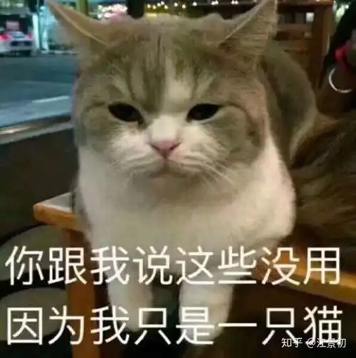  你有哪些口红,常用或推荐哪支