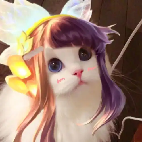  猫猫接头王者头像3