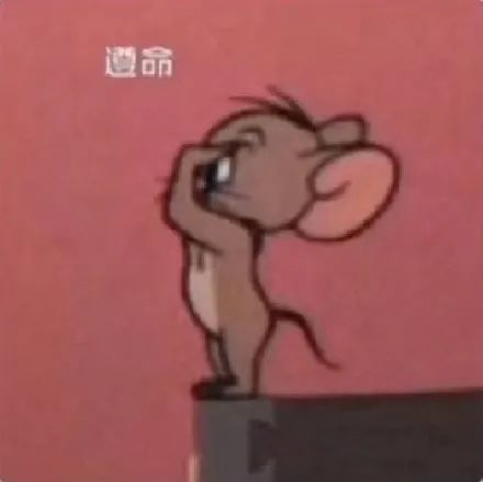  表情包汤姆and杰瑞遵命