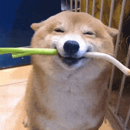  虞书欣这是吃到膨胀把裤线都崩开了吗沾一身零食碎屑赶通告也太喜剧人了