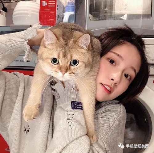  最近比较火的头像2020,qq个性头像大全