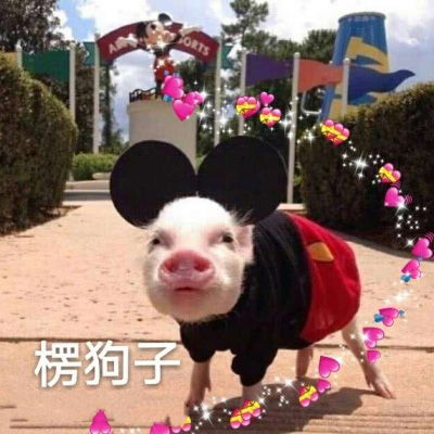 情侣头像抖音呆萌一对