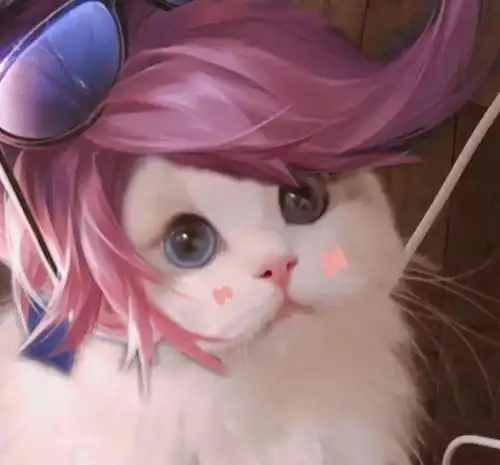  最近很火的王者荣耀猫头表情包大家看看哦